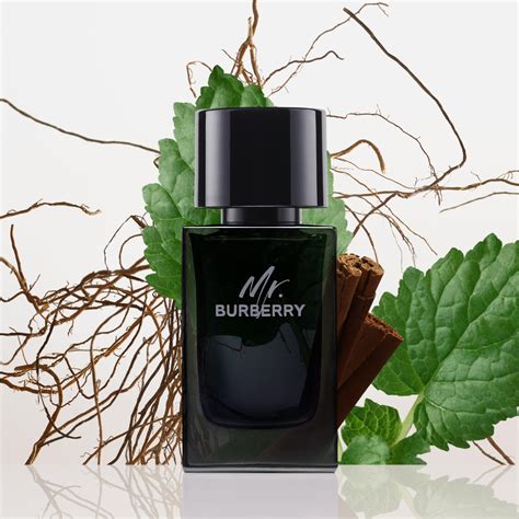 mr burberry weak longevity|mr Burberry eau de parfum.